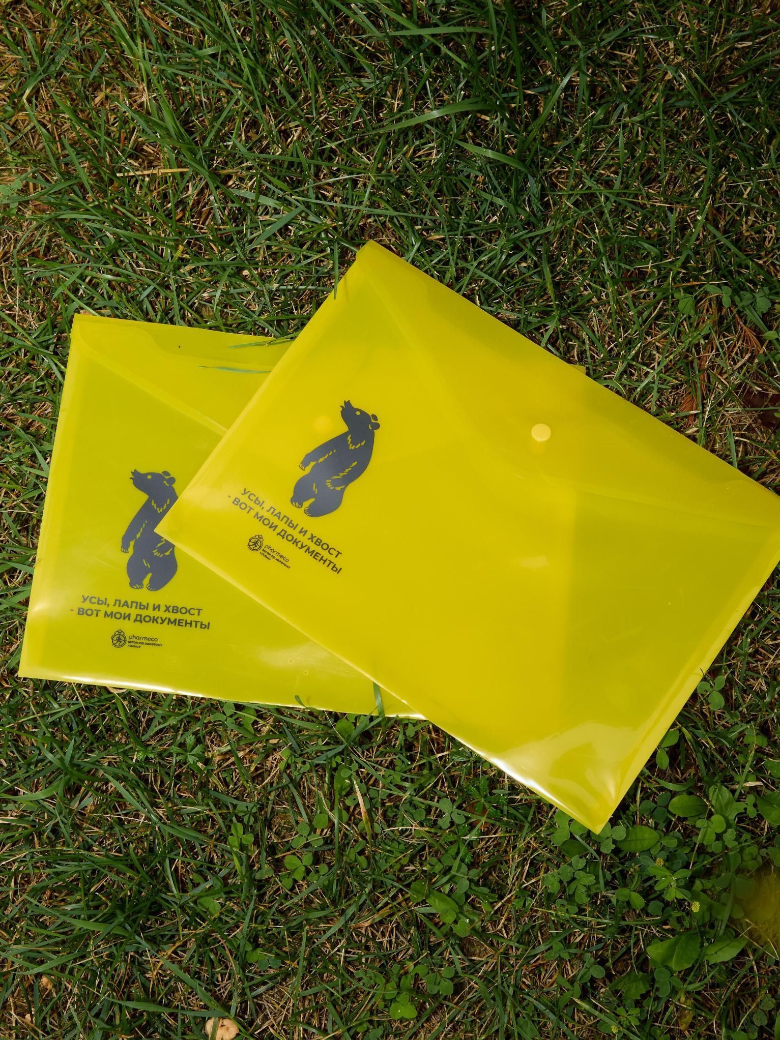 Папка для документов