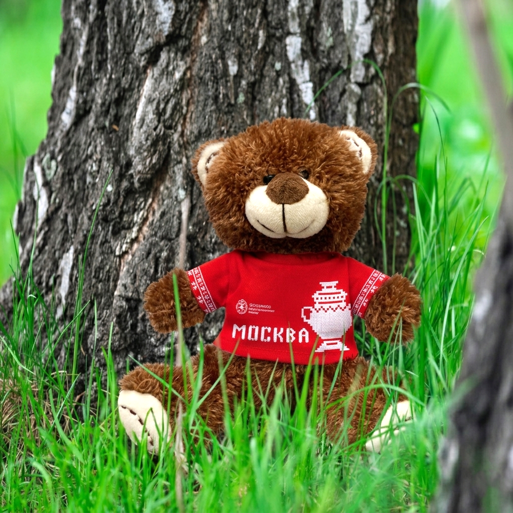 Мишка старта "Моя столица"