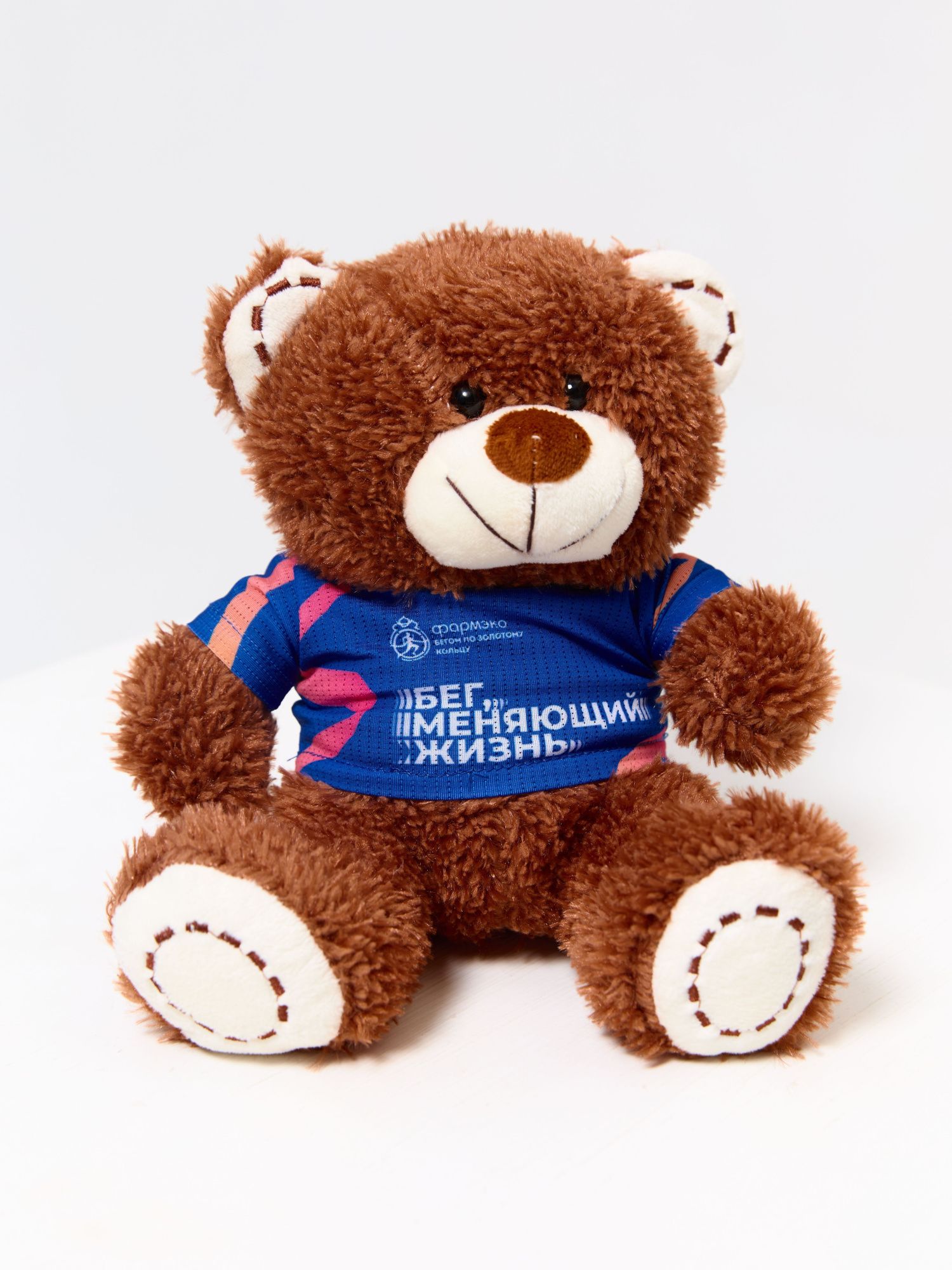 Символ проекта «Мишка» 2025