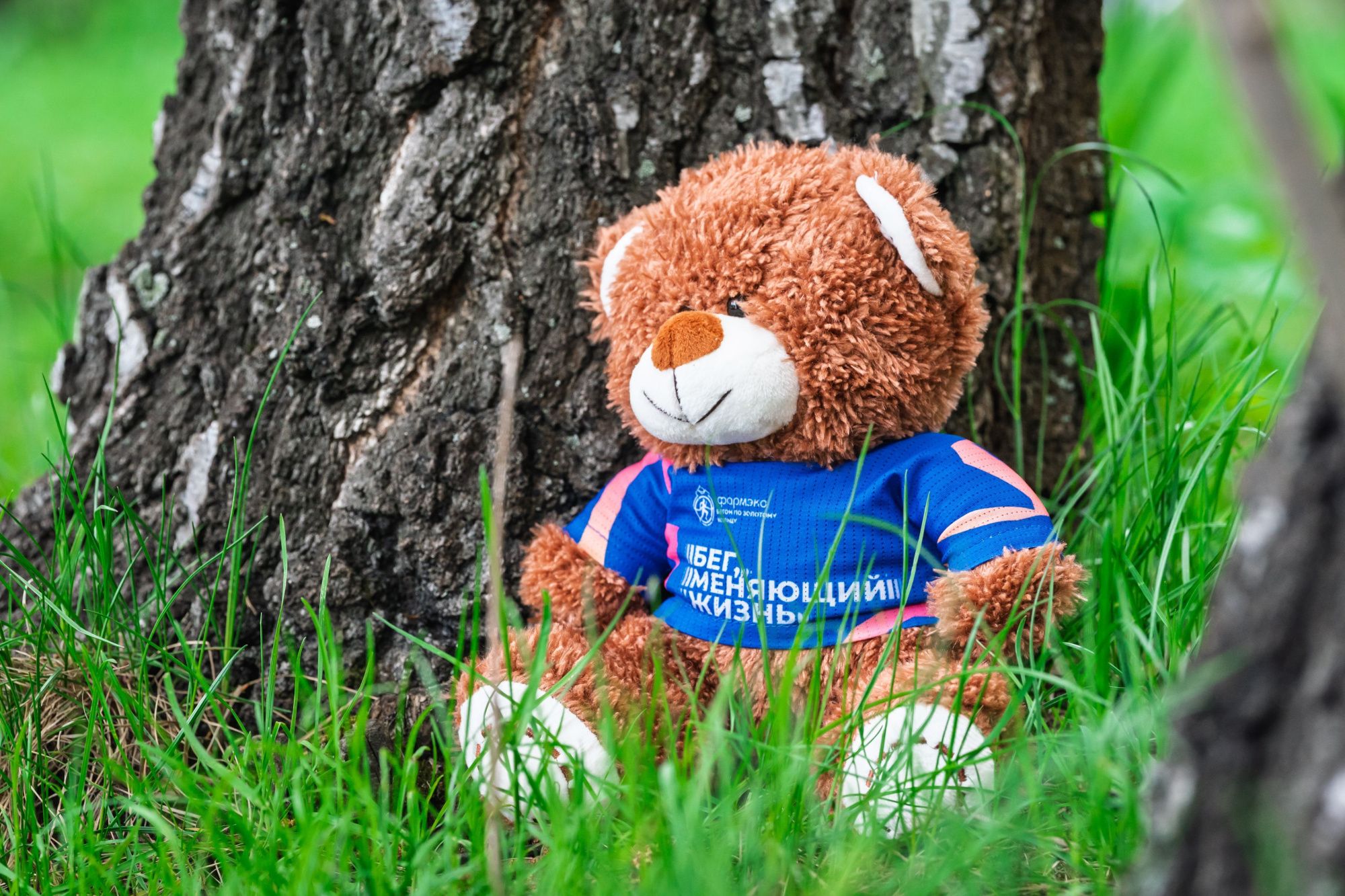 Символ проекта «Мишка» 2025